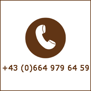toogler phone
